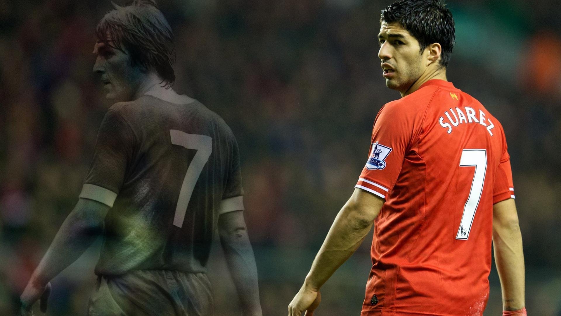 hth最新入口-哥伦比亚马术协会建立马匹基因数据库，促进马匹选育与训练。，哥伦比亚 马孔多